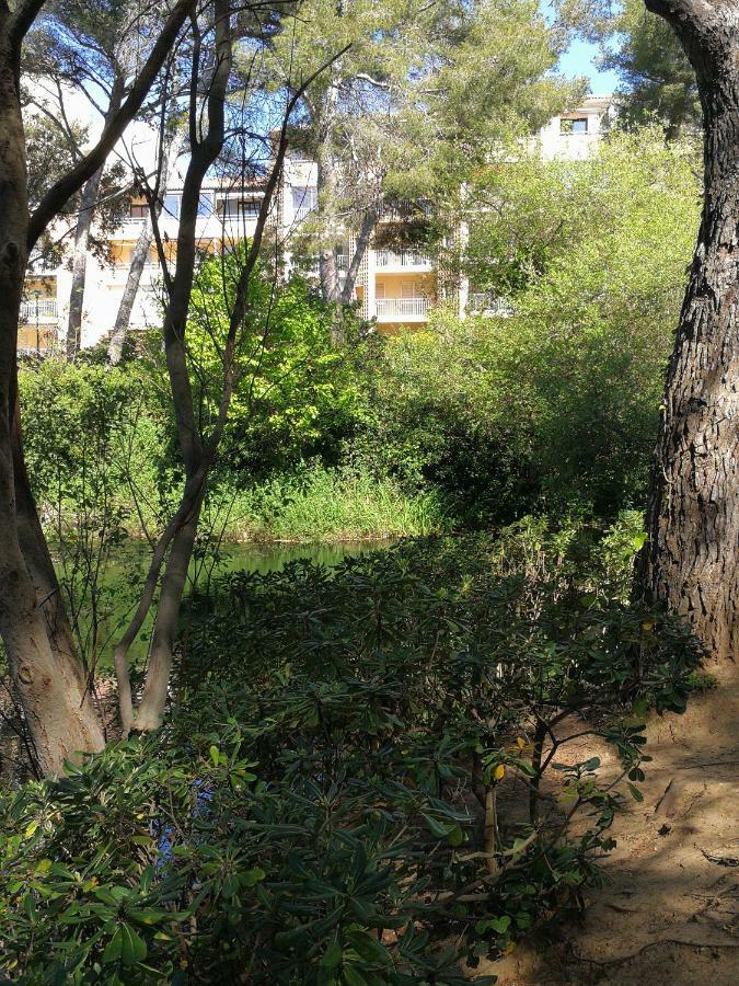 סיס-פור-לה-פלאז' Domaine De La Coudouliere, T2 Climatise Terrasse Vue Mer Sans Vis A Vis Plage A 100M מראה חיצוני תמונה